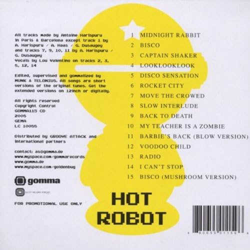Hot Robot