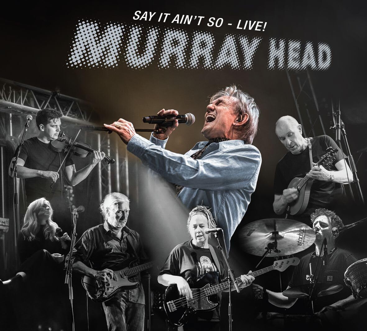 Say It Ain't So (live)
