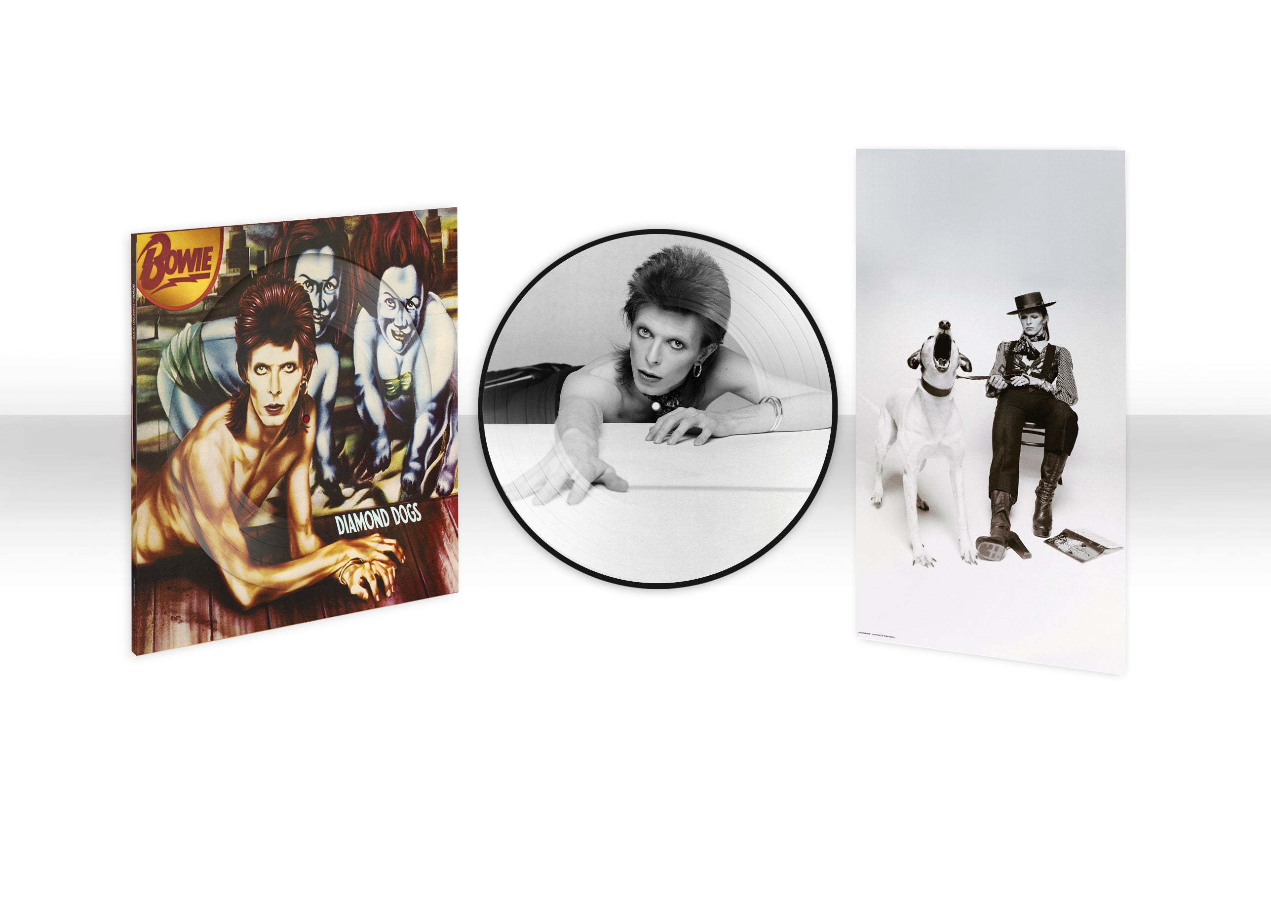 Diamond Dogs