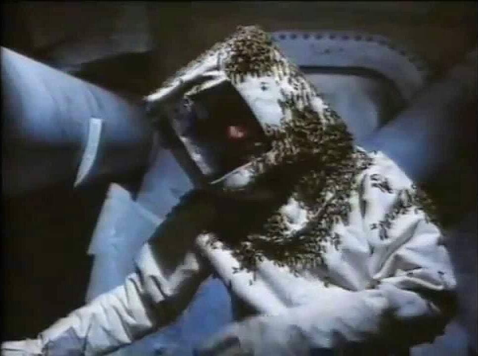 Killerbienen II - Die Mörderbienen greifen wieder an (Terror aus den Wolken / Terror Out of the Sky) (Filmjuwelen