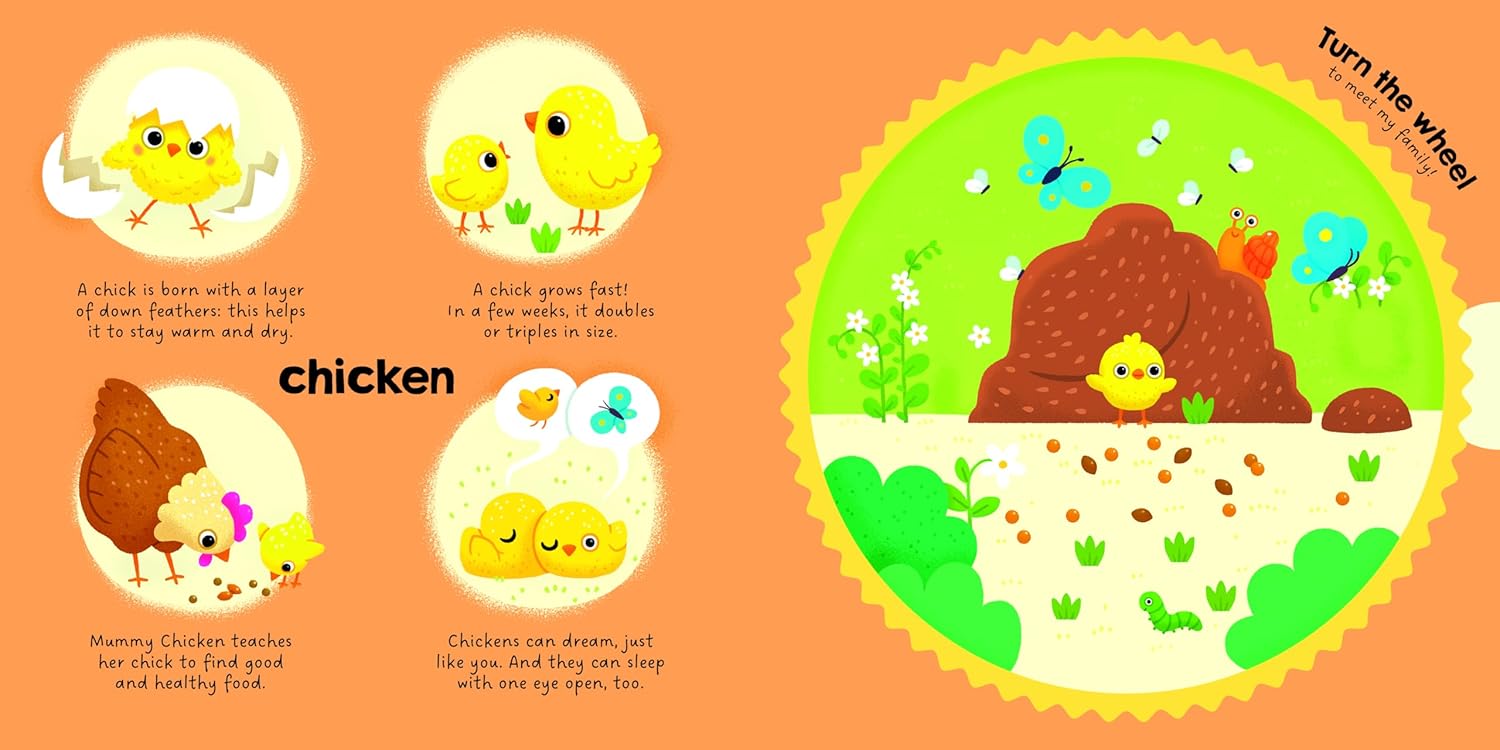 Farm Animals