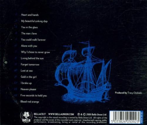 My Beautiful Sinking Ship