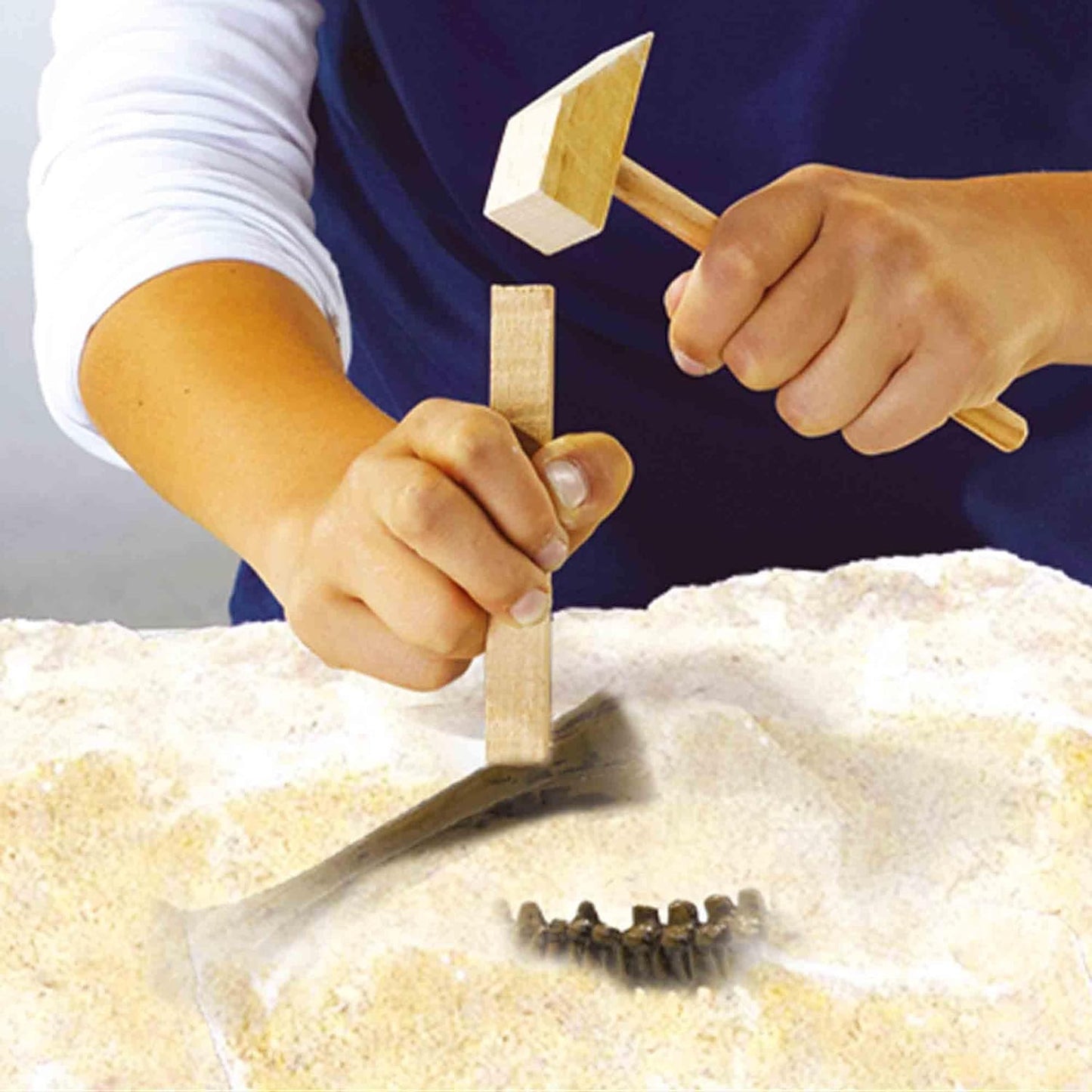 SES Creative 25093 2 in 1 Dinosaur and Skeleton Dig-Triceratops, One Size