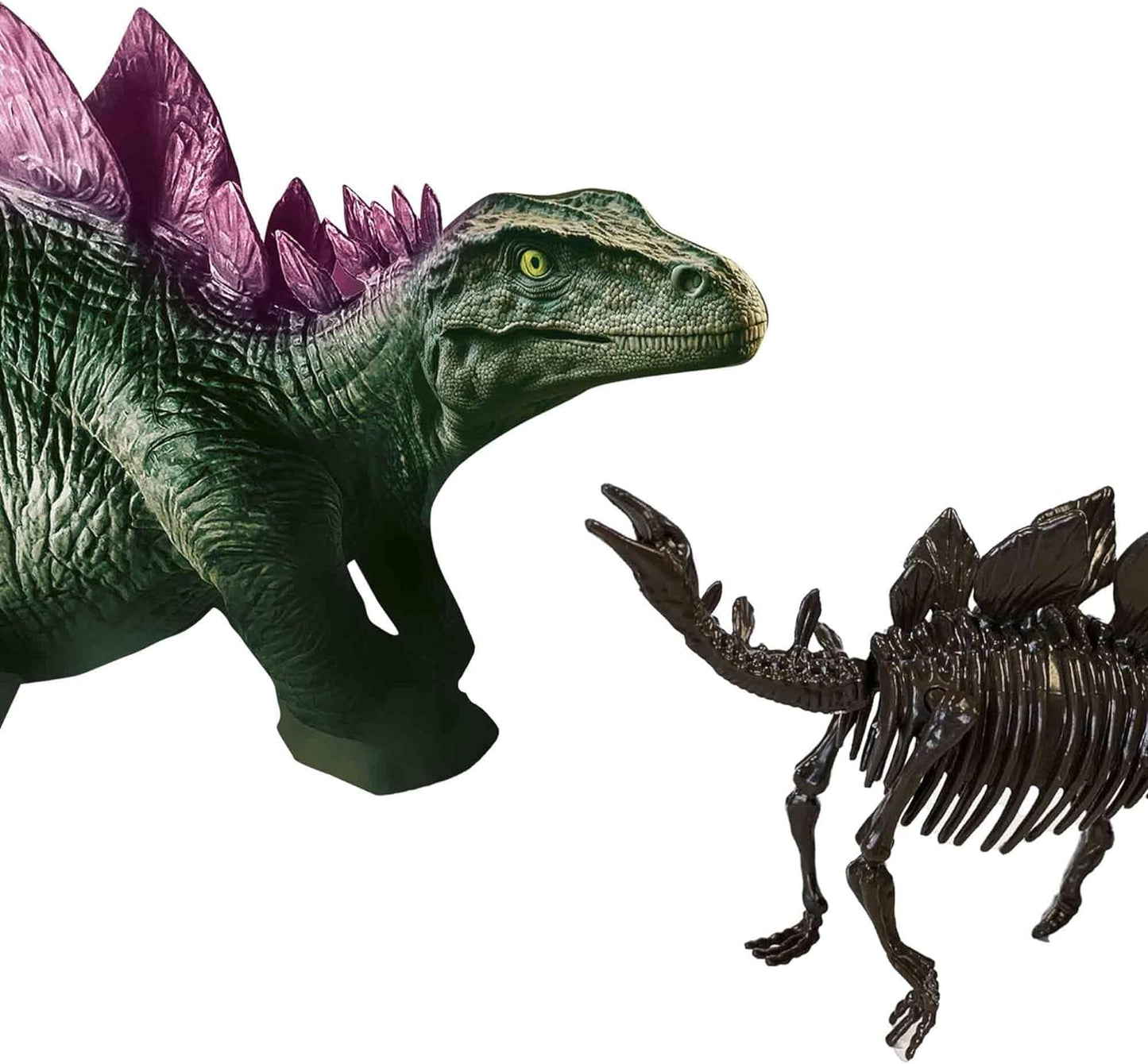 SES Creative 25094 2 in 1 Dinosaur and Skeleton Dig-Stegosaurus, One Size