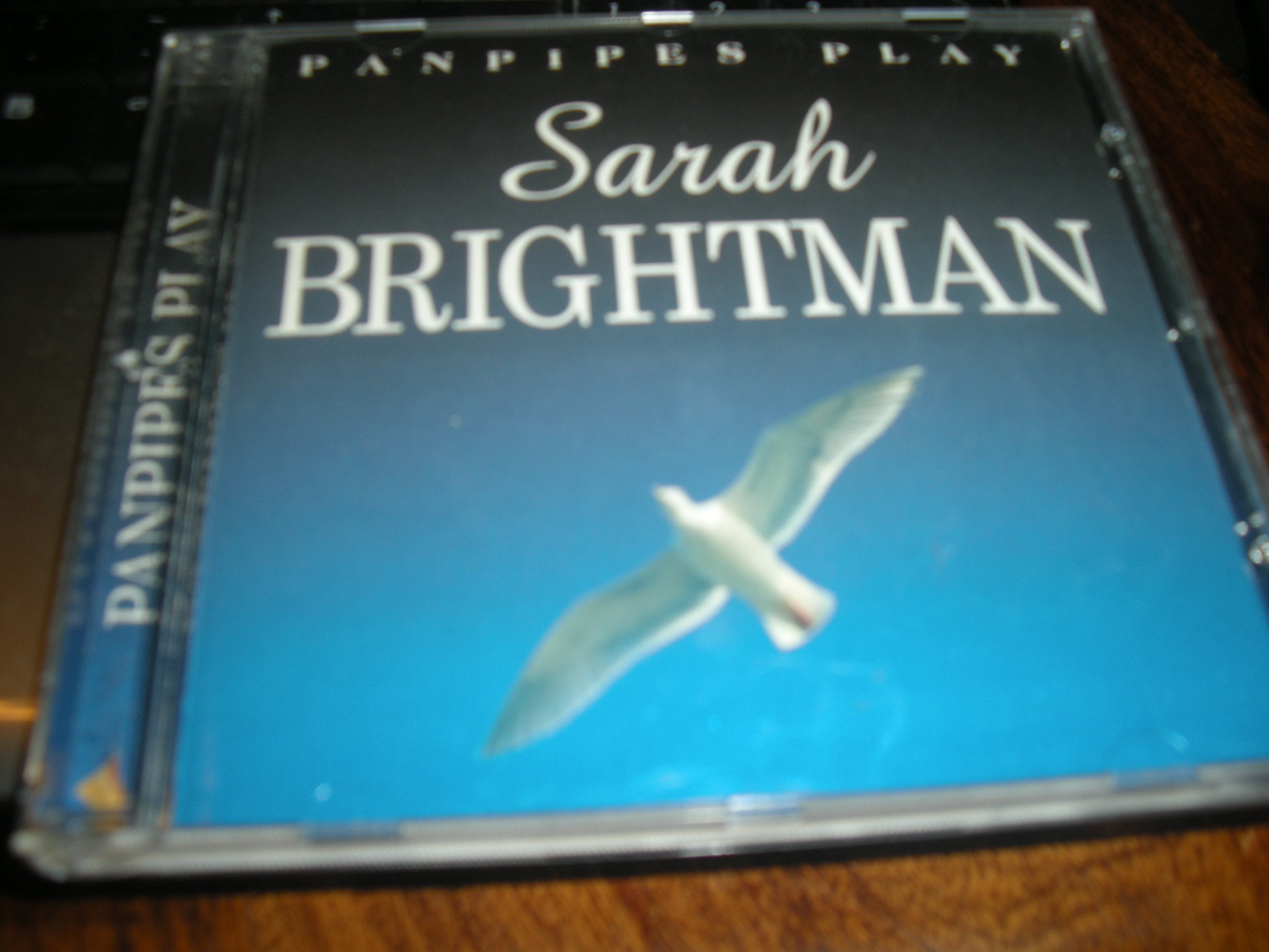 Panpipes Play Sarah Brightman