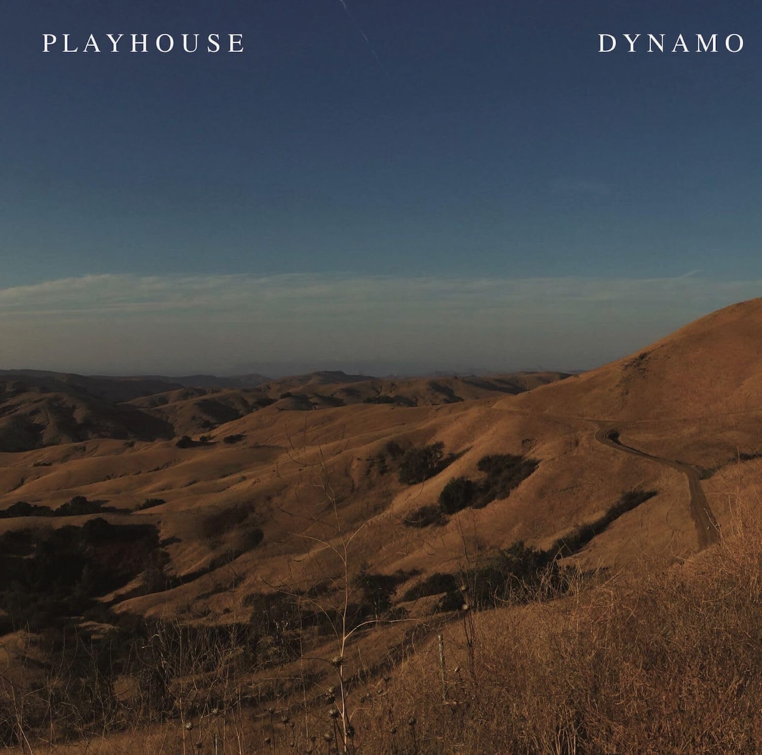 Dynamo