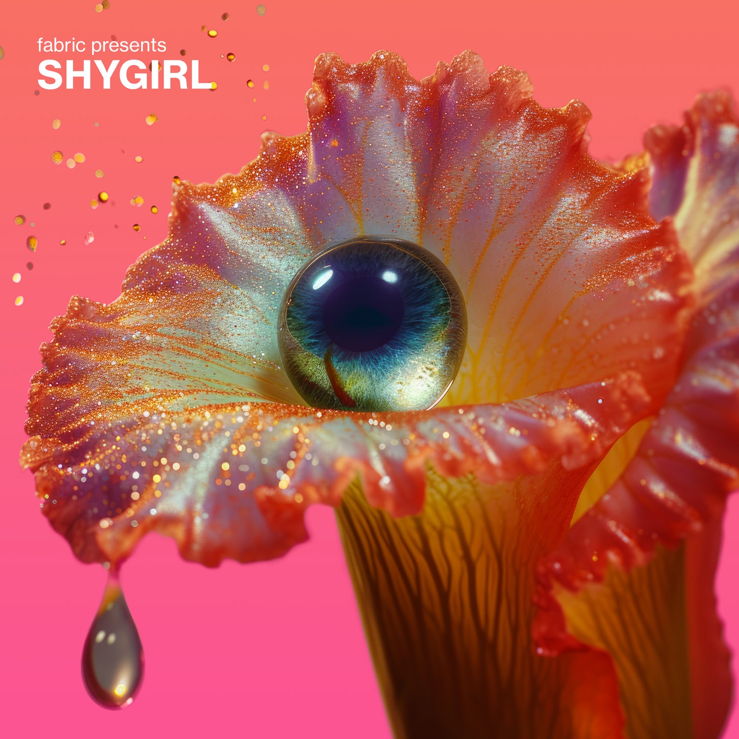 Fabric Presents: Shygirl Dl