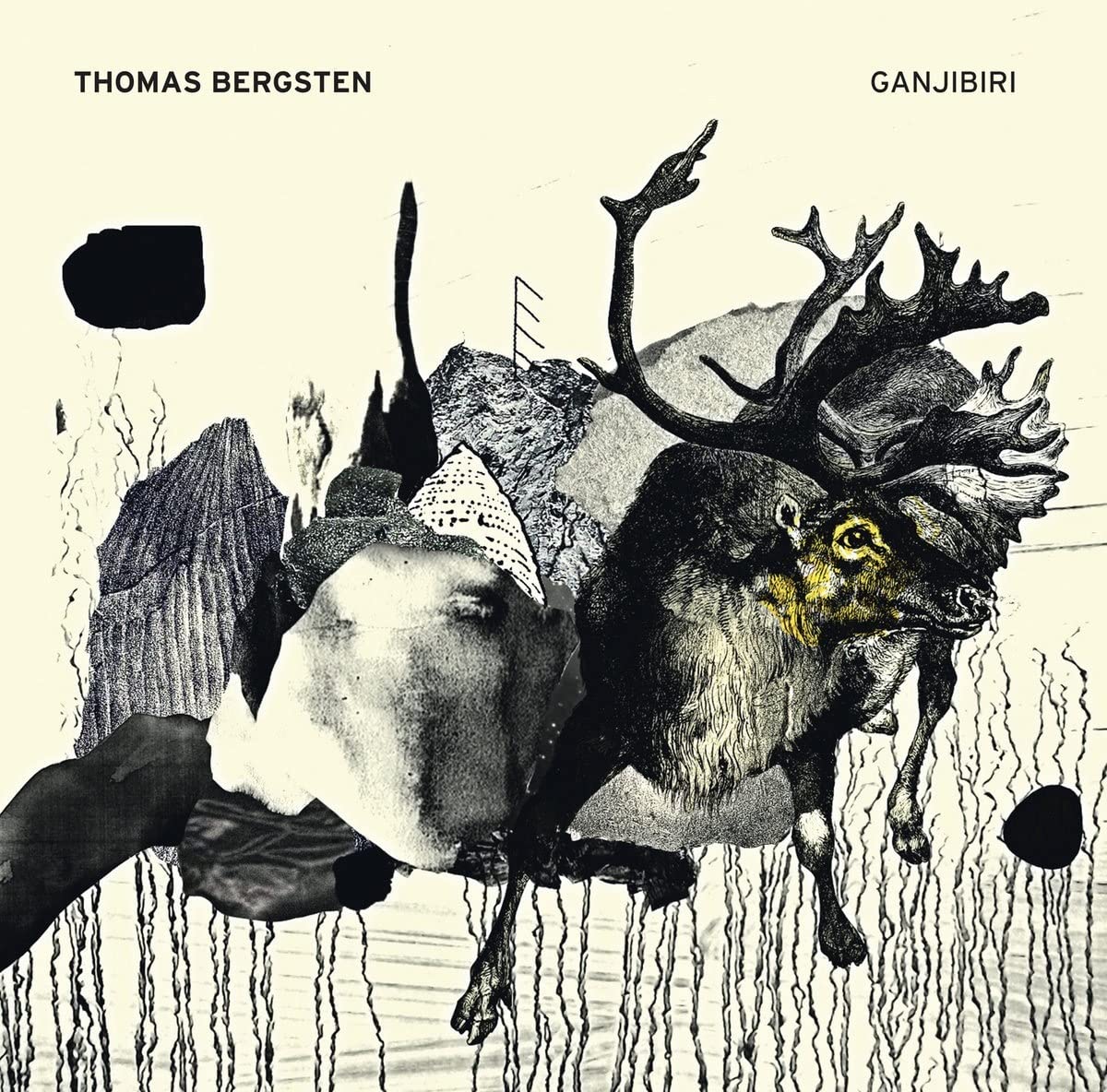 Thomas Bergsten-Ganjibiri