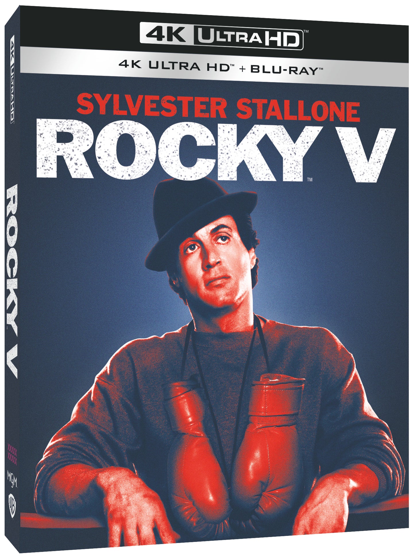 Rocky V