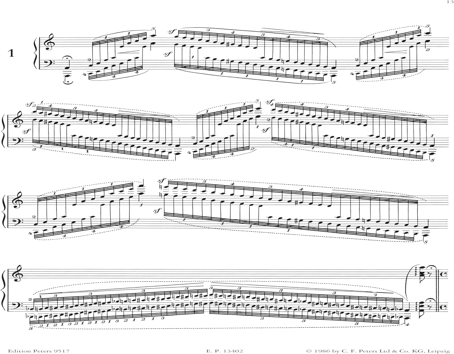 Concert Etudes Op 10 & Etudes After Paga