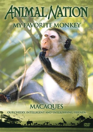 Animal Nation - My Favorite Monkey