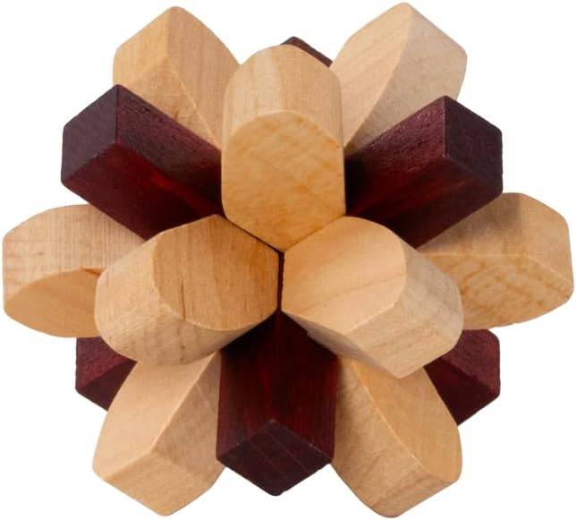 Recent Toys RT5140 Brain Puzzle Parietal Lobe