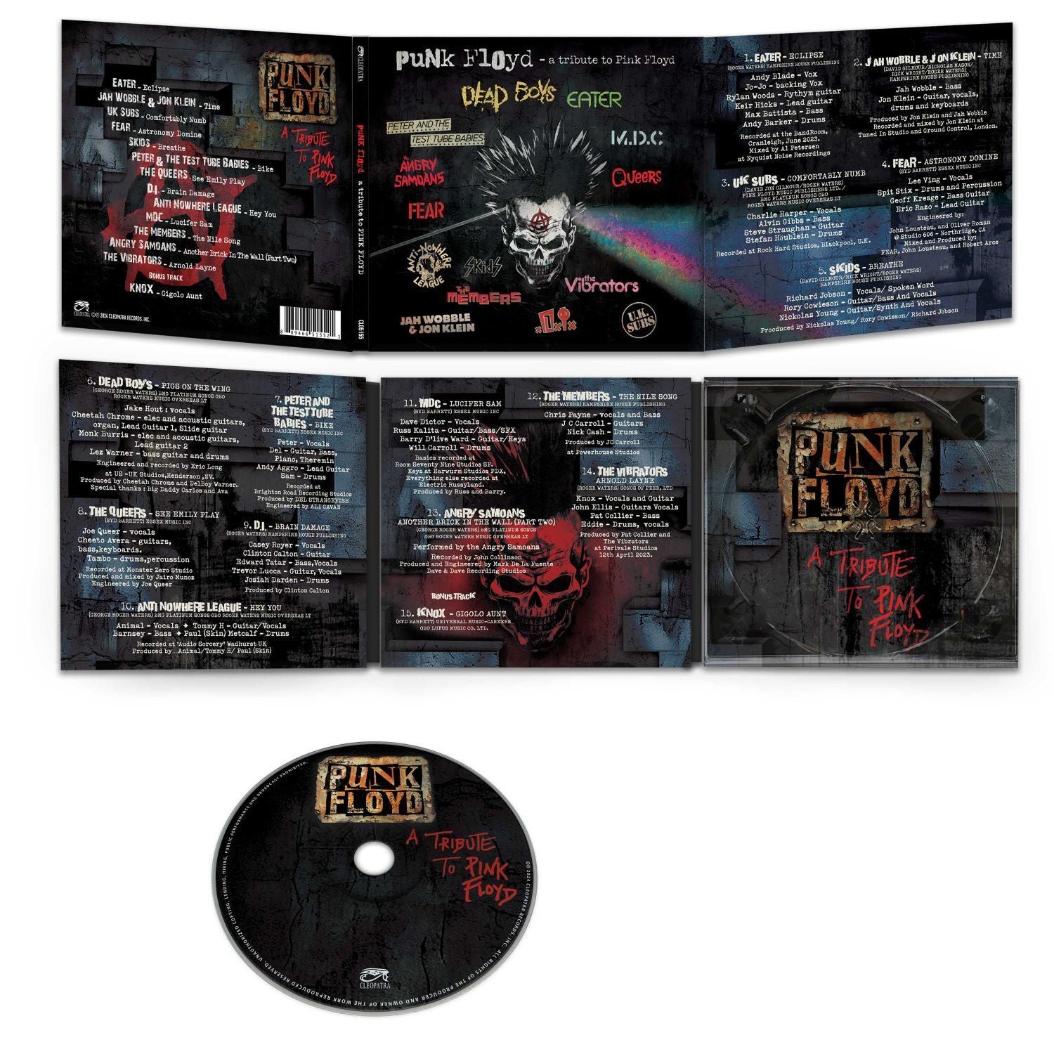 Punk Floyd: A Tribute to Pink Floyd