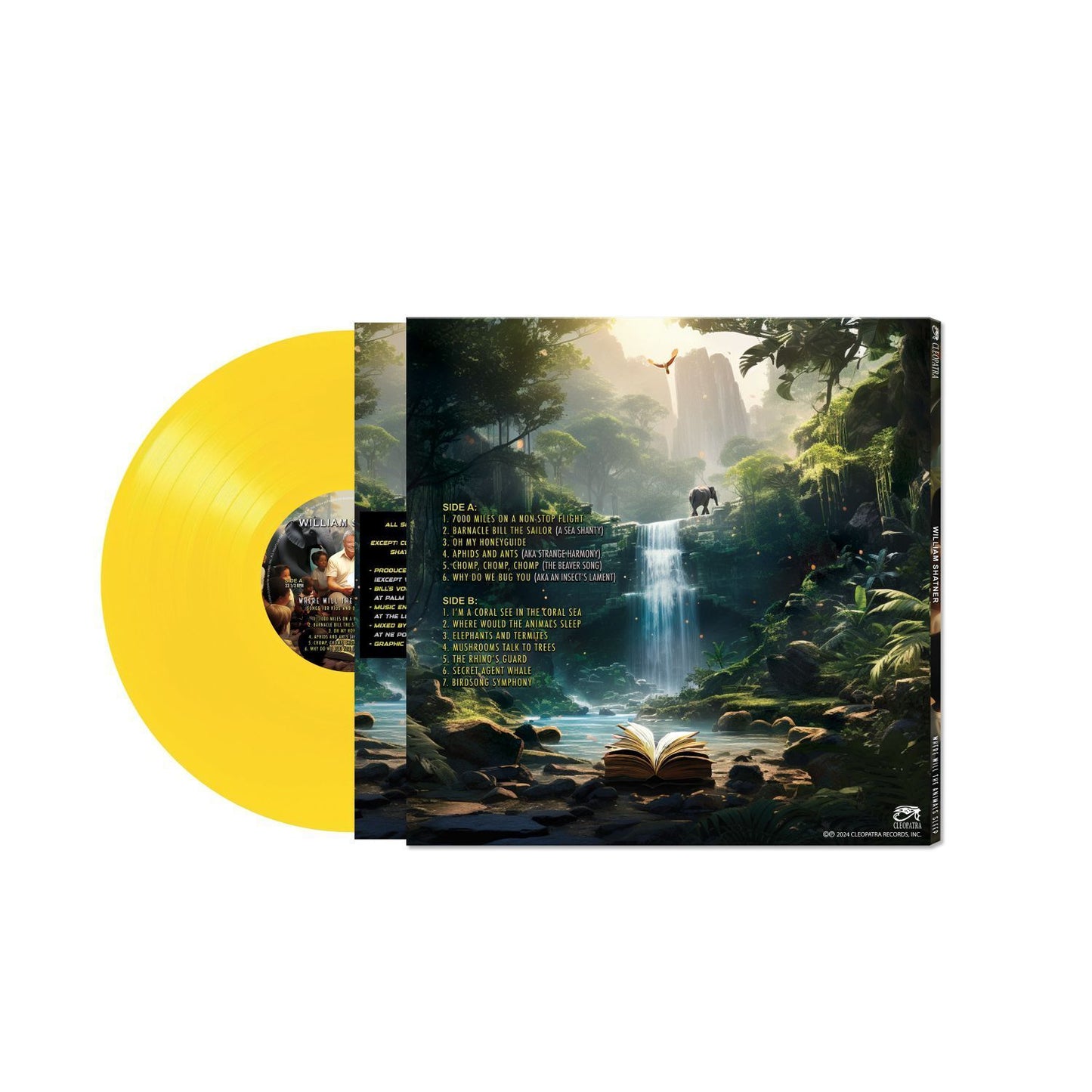 Where Will the Animals Sleep: Songs for Kids and Other Living Things