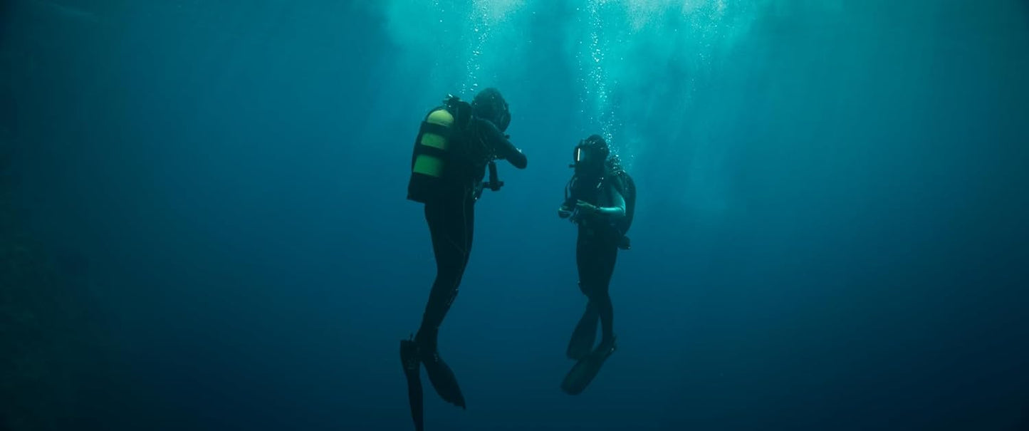 ERLENWEIN, MAXIMILIAN - THE DIVE