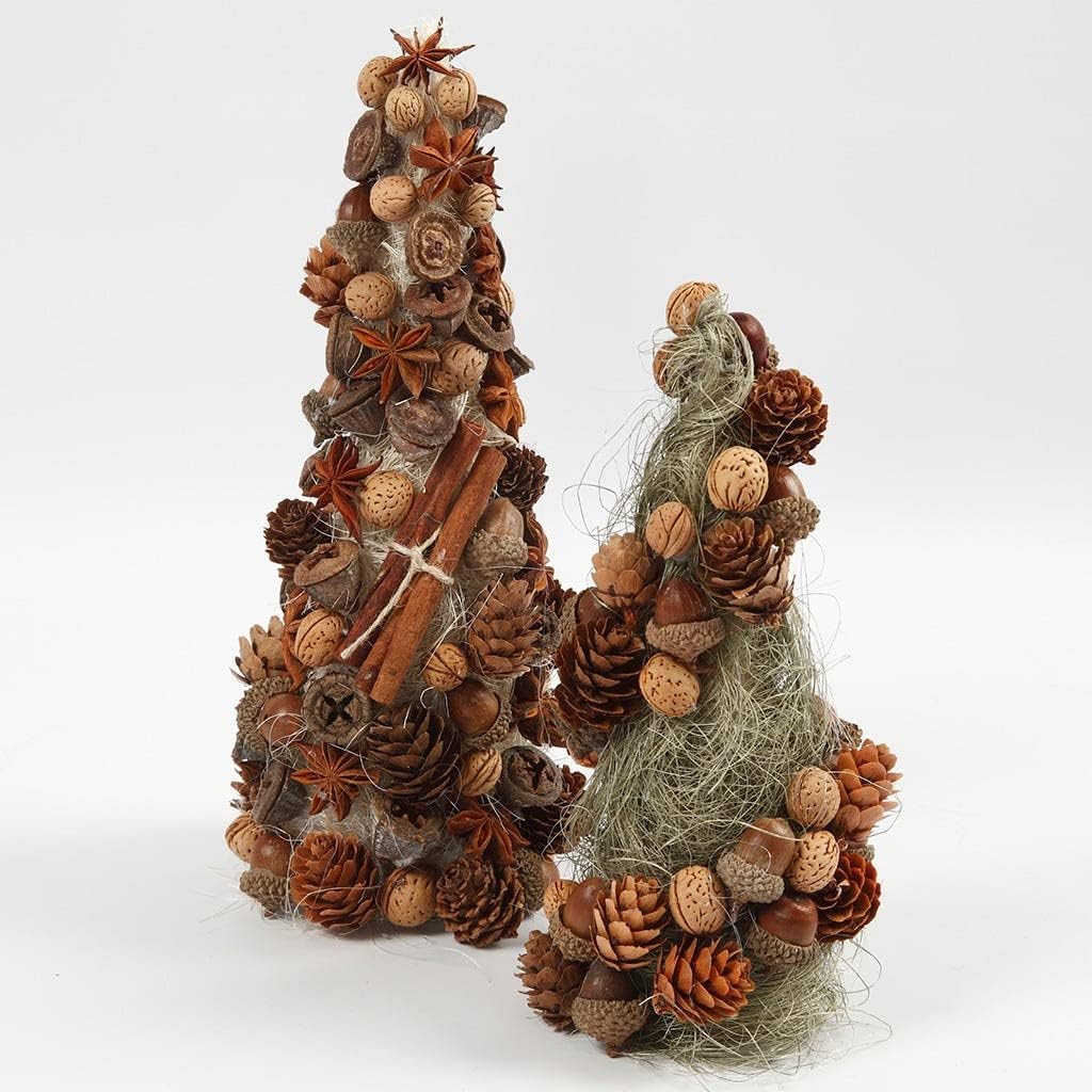 Acorns Pack of 12