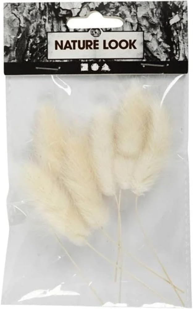 Plant 'hare-tail'
