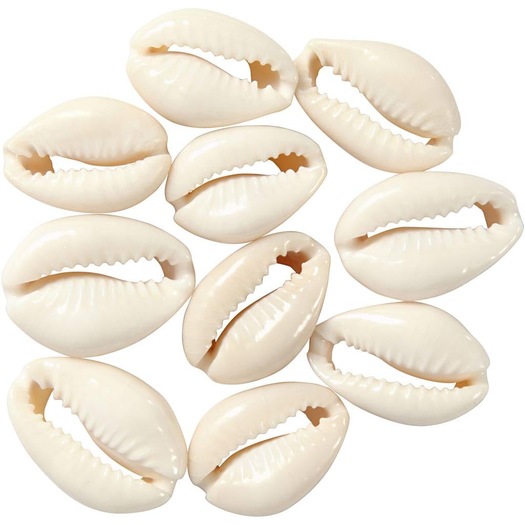 Muschelperlen L 20 Mm 12 Stck. Natur