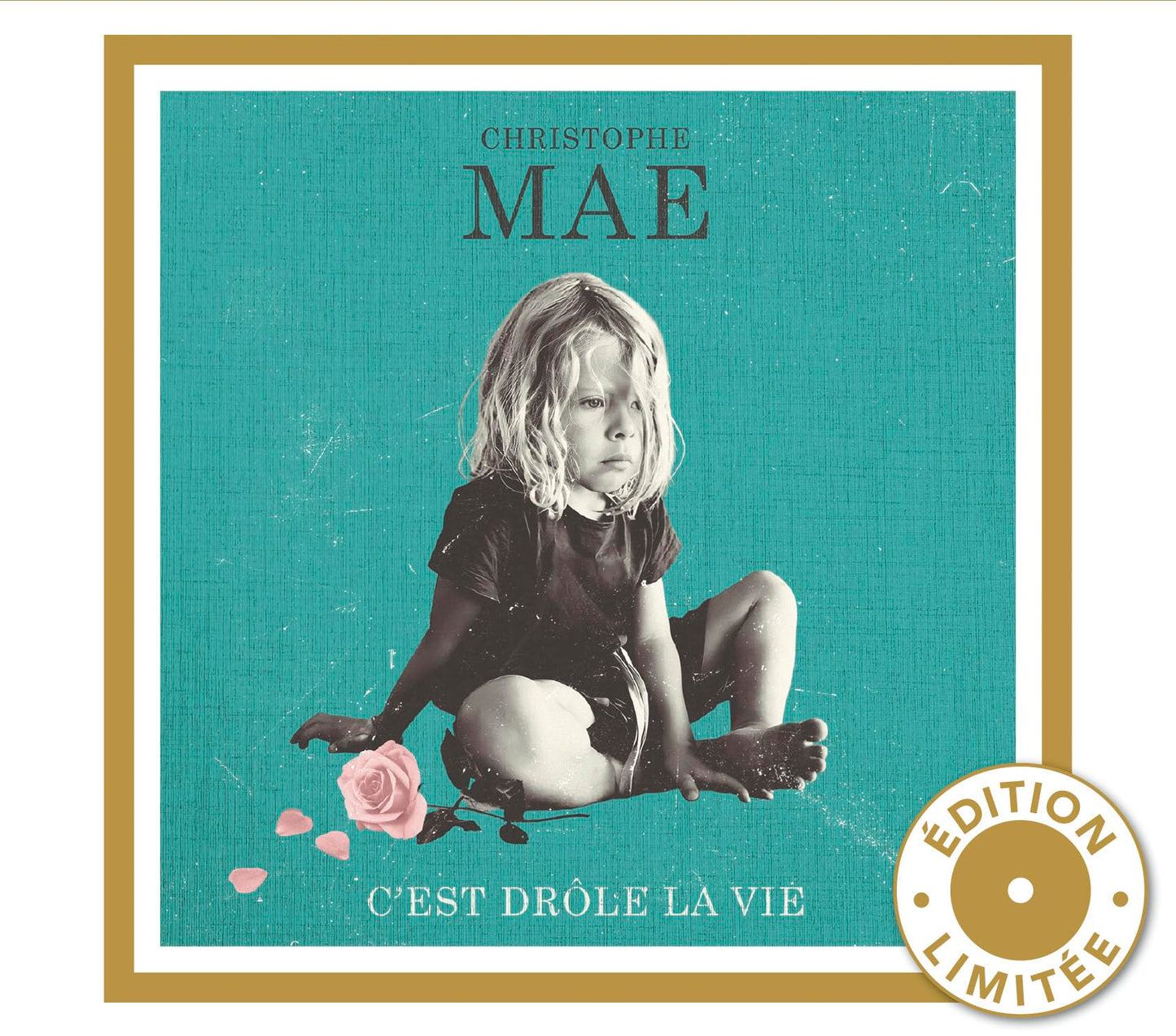 Cest Drole La Vie