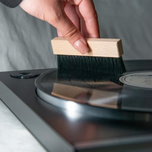 Spazzola Antistatica In Legno