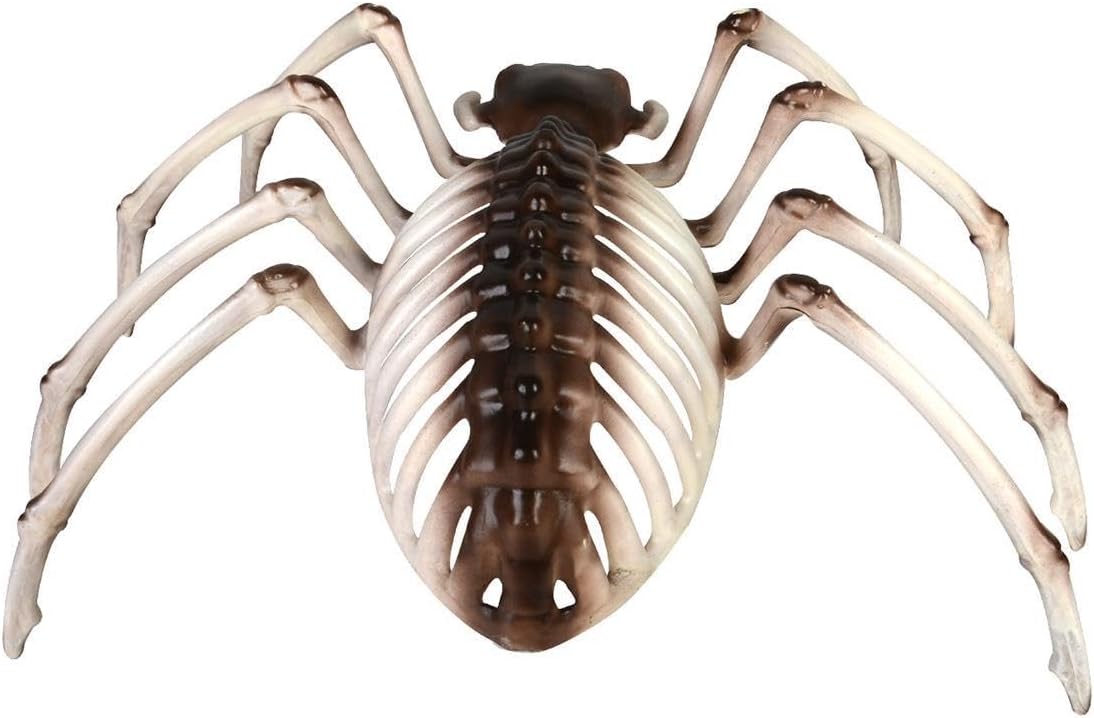 `Spider Skeleton Prop, 17cmx30cmx19cm`