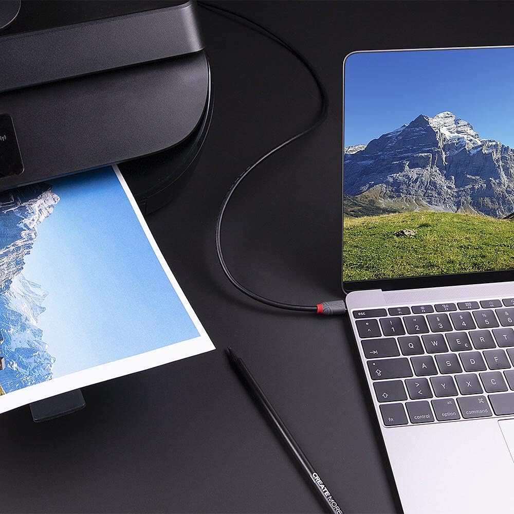 LINDY 1m USB 3.1 Cable, USB-C Male to USB-B 3.0 Male Type B, for MacBook Pro/Air, External Hard Drive, Scanner, Printer, Docking Station