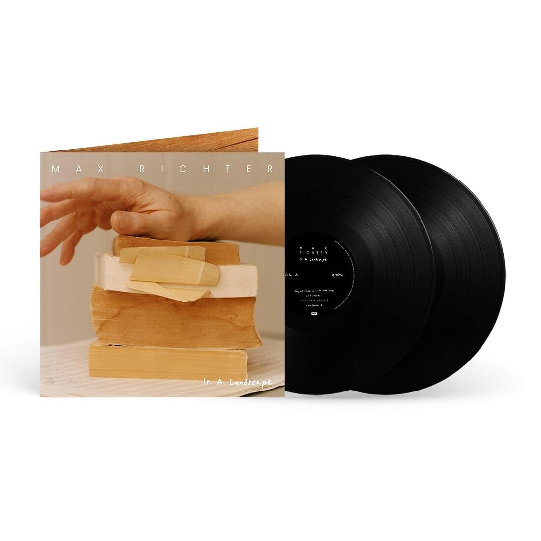 Max Richter: In a Landscape
