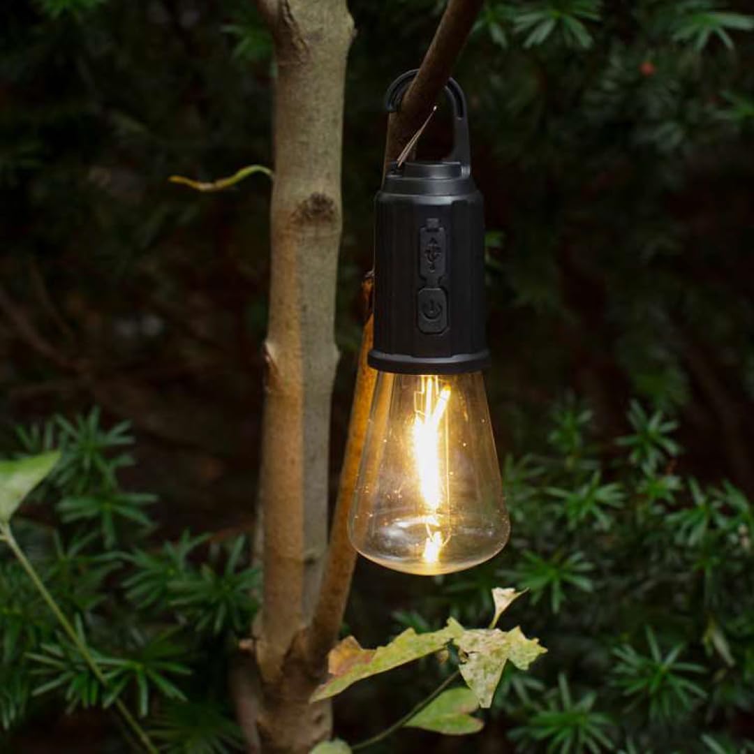 Hanging Clip Light