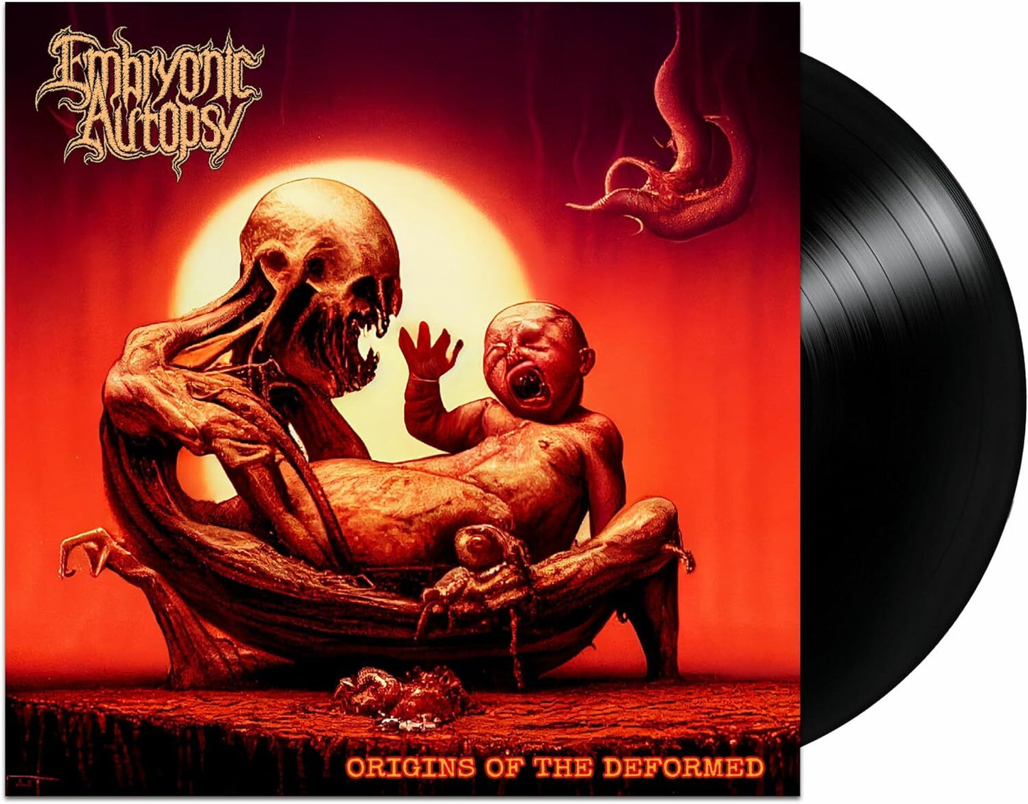 Origins of the Deformed