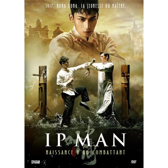 Ip man : naissance d'un combattant