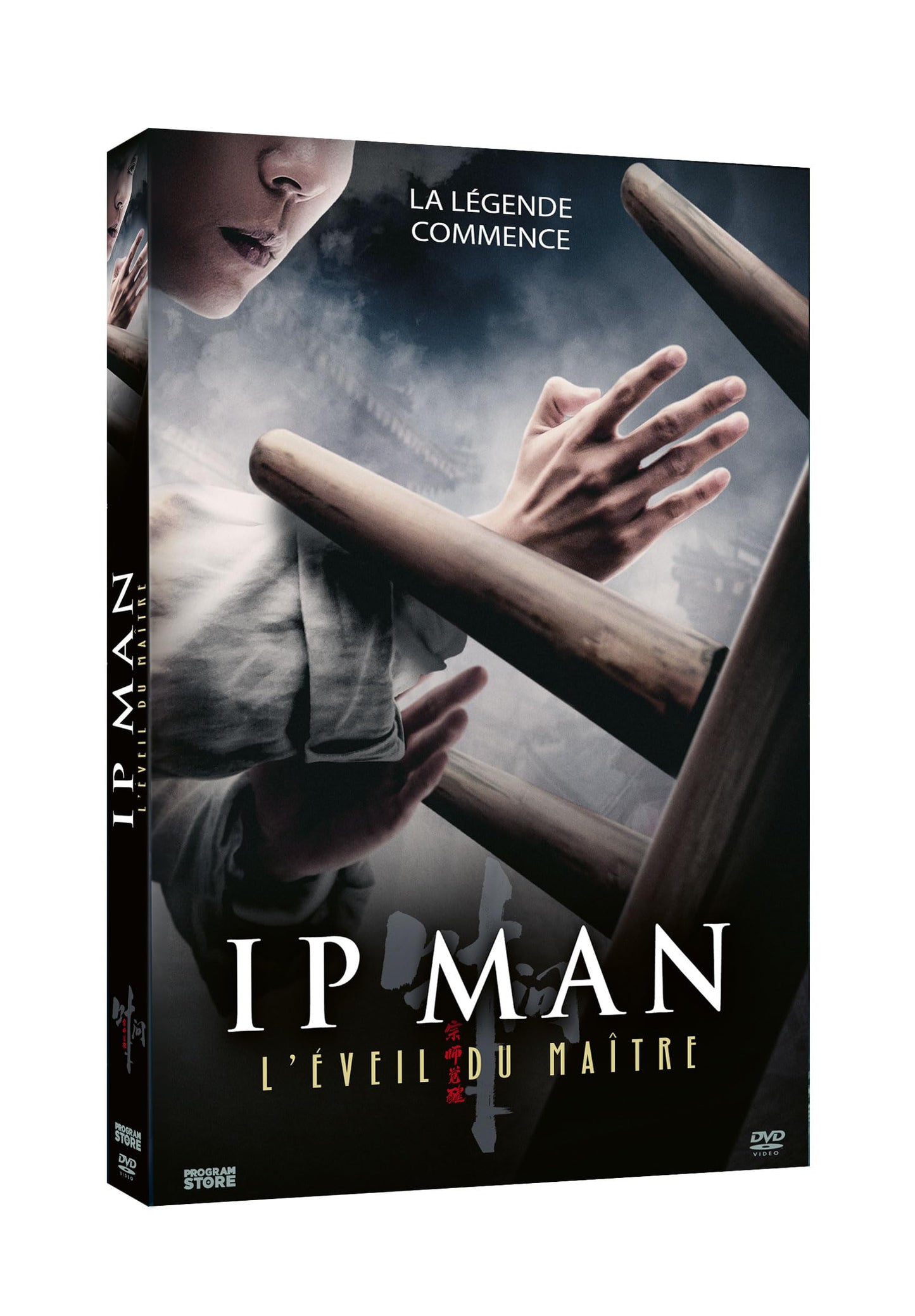 Ip man : l'éveil du maître