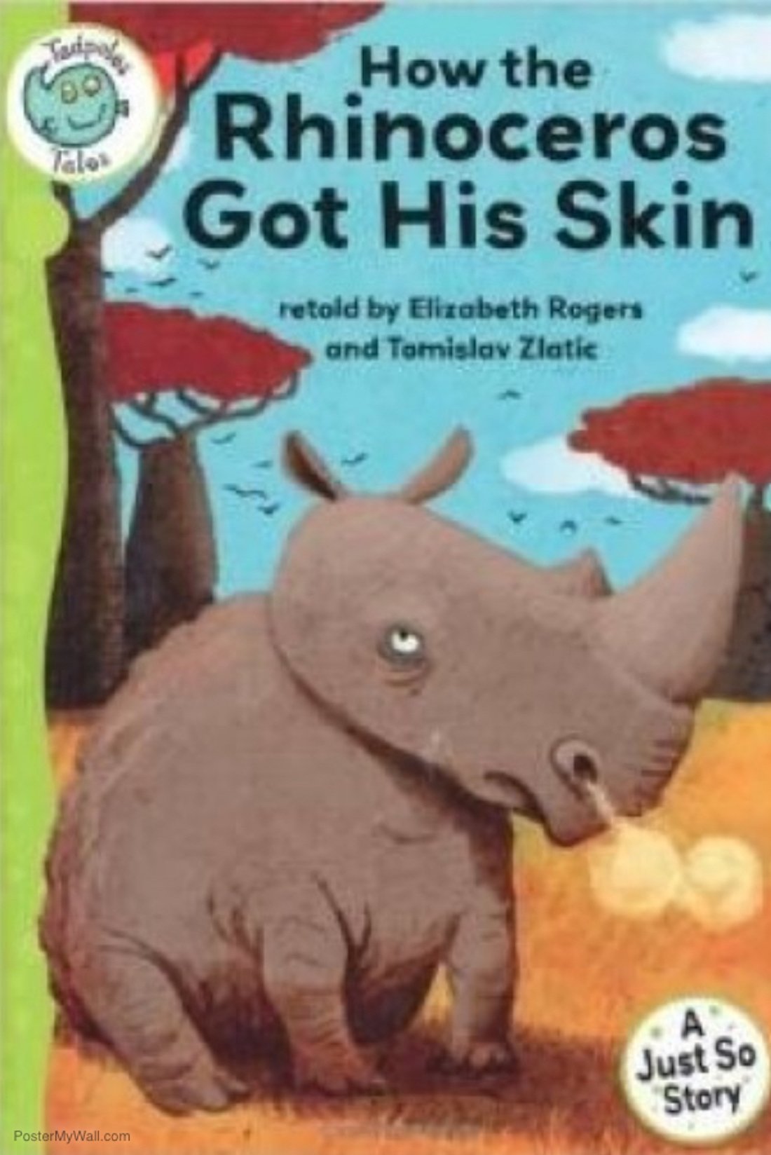 How the Rhino Got His Skin