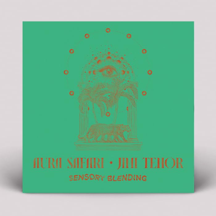 franck roger-cosmic tree ep 12'
