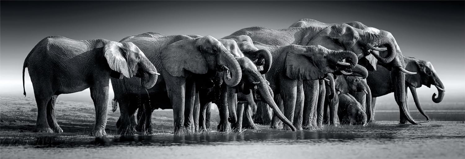 Clementoni 39836 Jigsaw Panorama Collection-Herd of Giants 1000 Pieces-Puzzle for Adults 14-99 Years, Gift for Men/Women, Animals, Made in Italy, Multicolor