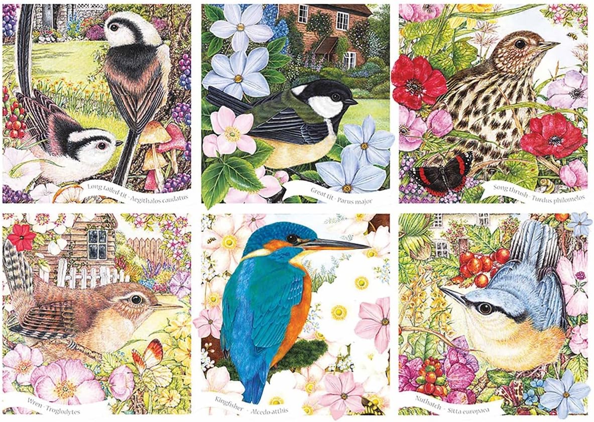 Otter House Gift Rectangular Jigsaw - RSPB Garden Birds
