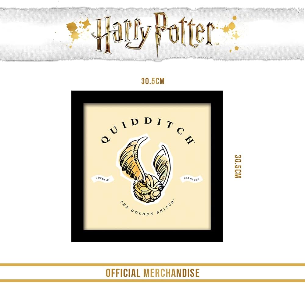Pyramid International HARRY POTTER Framed Print Quidditch Watercolour Design 30cm x 30cm - Official Merchandise