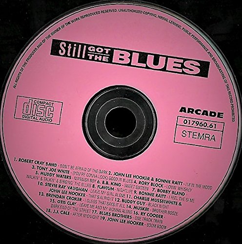 Robert Cray Band, John Lee Hooker, Tony Joe White, Rory Block..