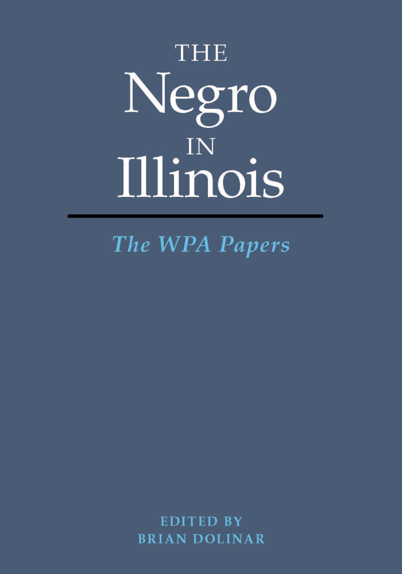 The Negro in Illinois