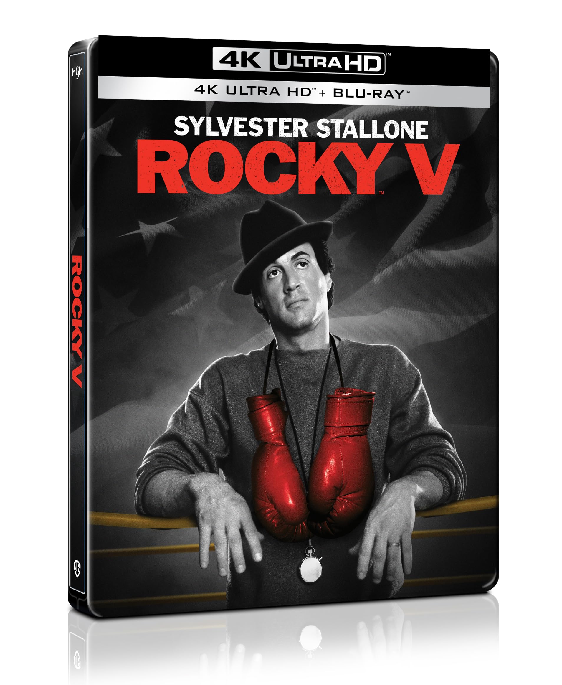Rocky V