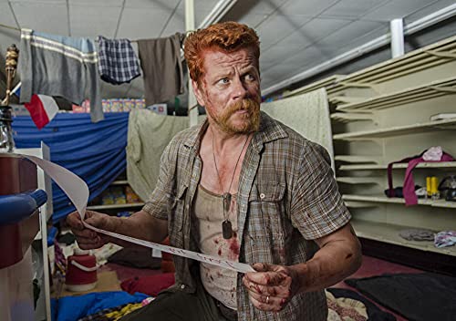 The Walking Dead Saison 5 (Region 2)