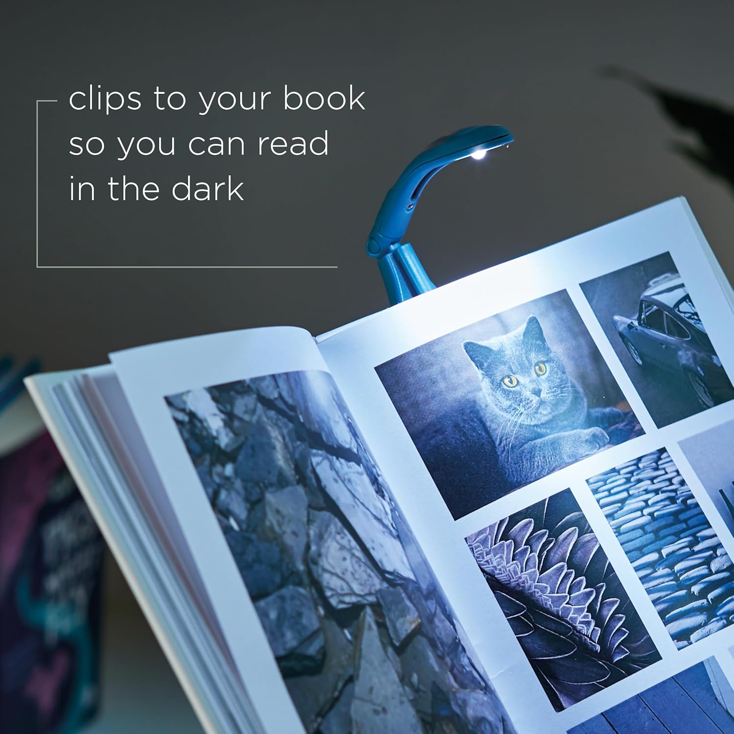 IF Really Tiny Book Light - Fern