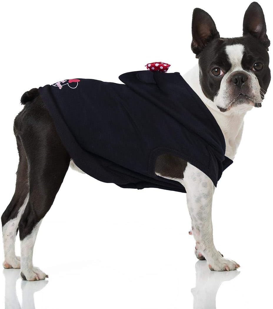 MINNIE - Dog Hoodie - S (Length 32cm - Chest 50-58