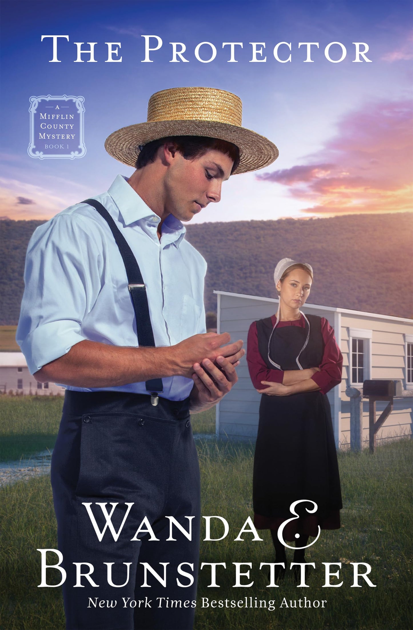 The Protector: A Mifflin County Mystery - Book 1 Volume 1 (Mifflin County Mysteries, 1