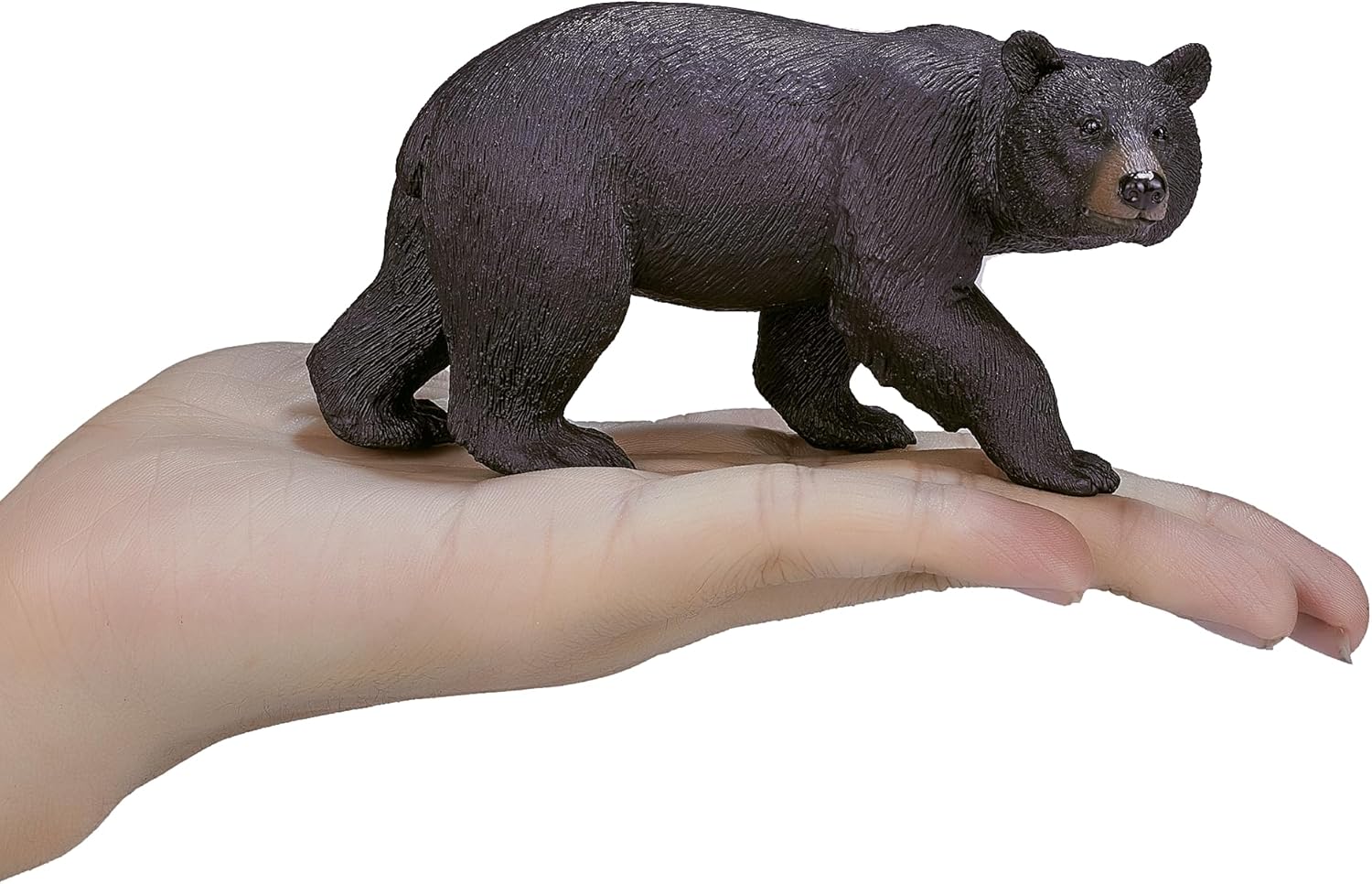 Science4you - Amerikanischer schwarzer Bär aus Kunststoff, Größe L (750.0
