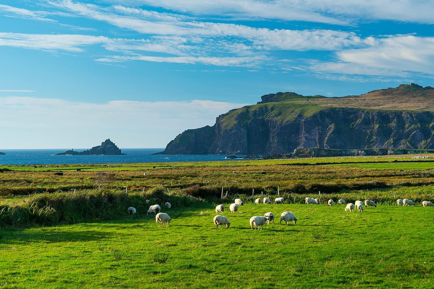 Kerry