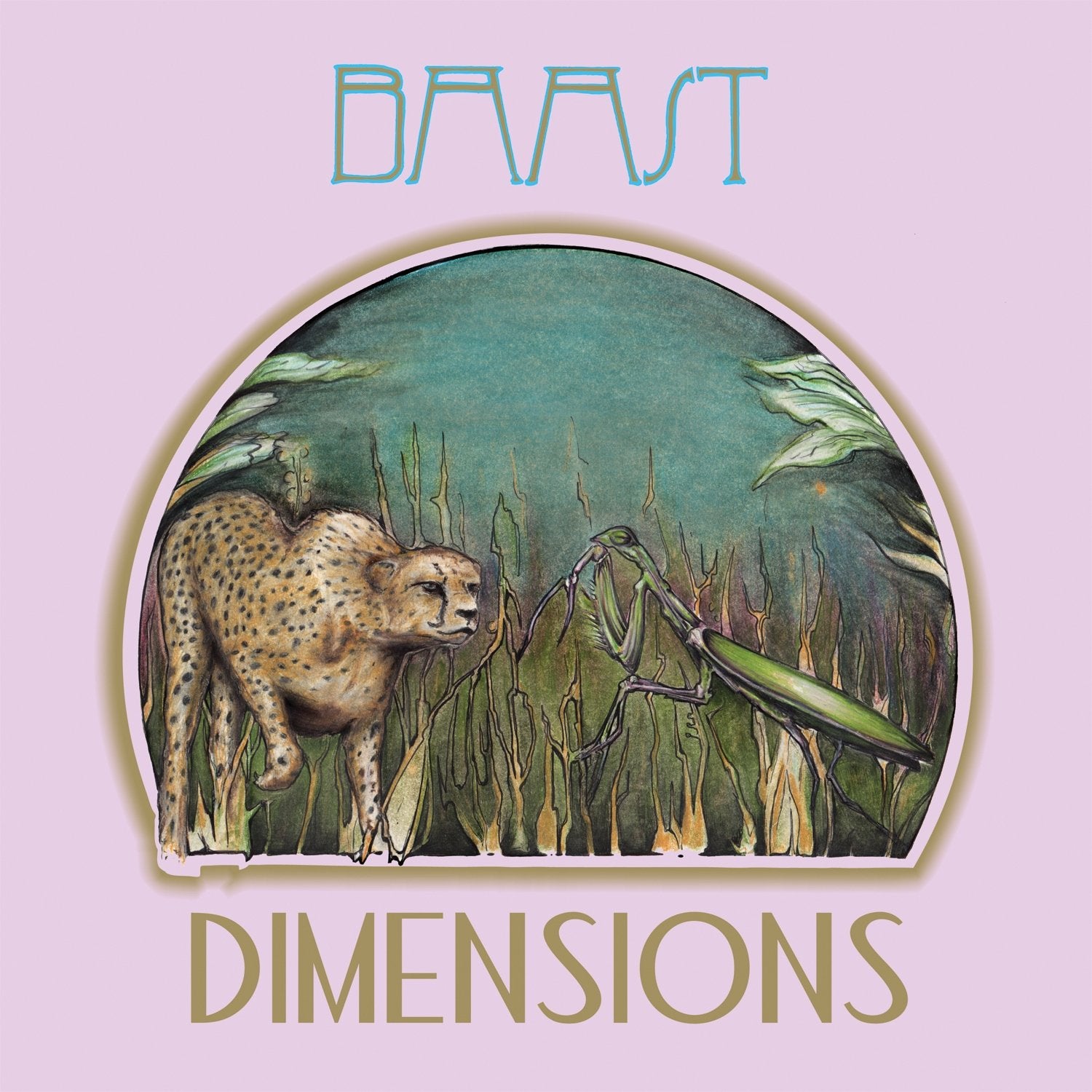 Dimensions 12`