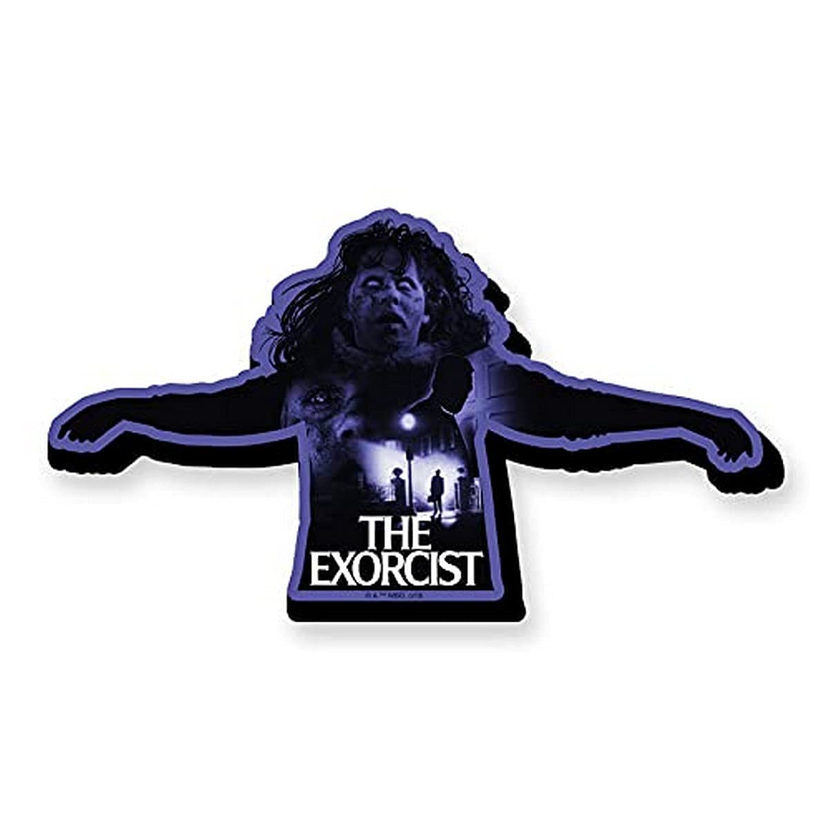 AQUARIUS - Exorcist Collage Funky Chunky Magnet