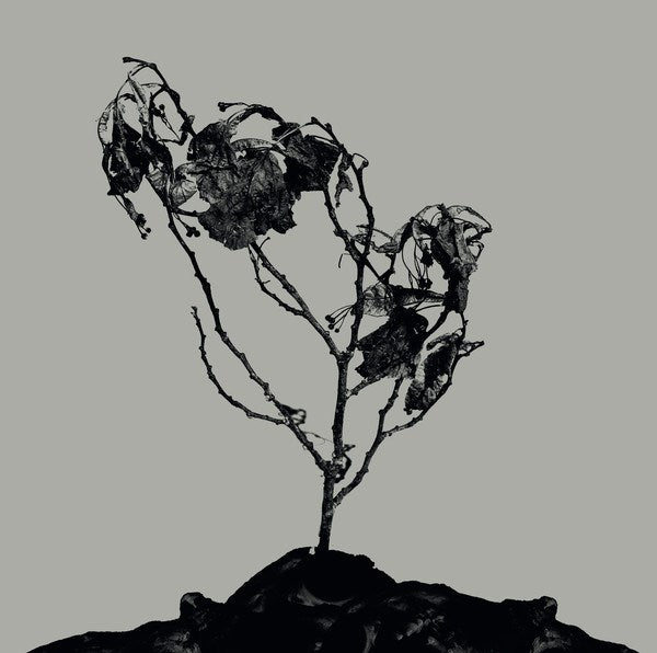 Innerwoud + Treha Sektori