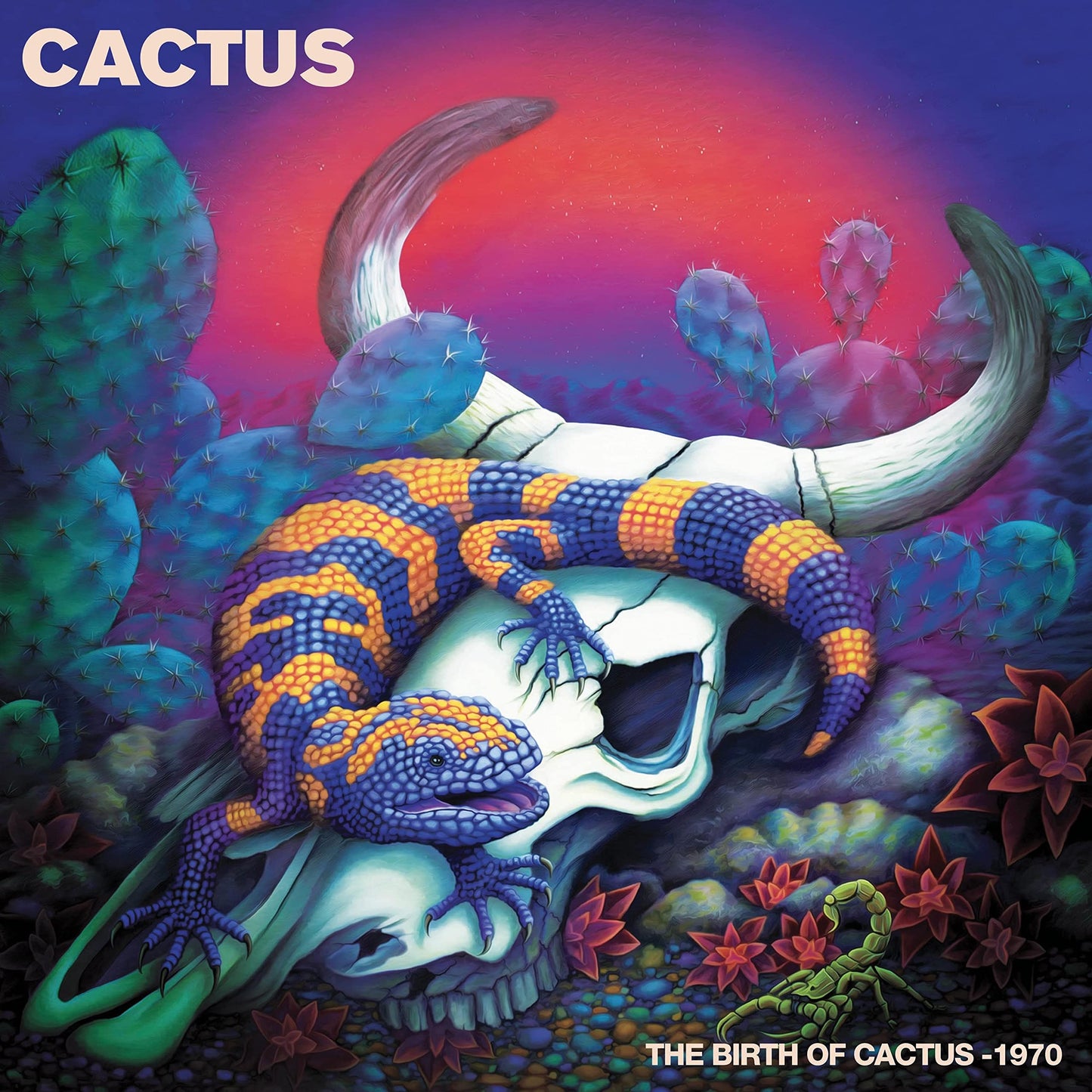 birth of cactus - 1970 USA