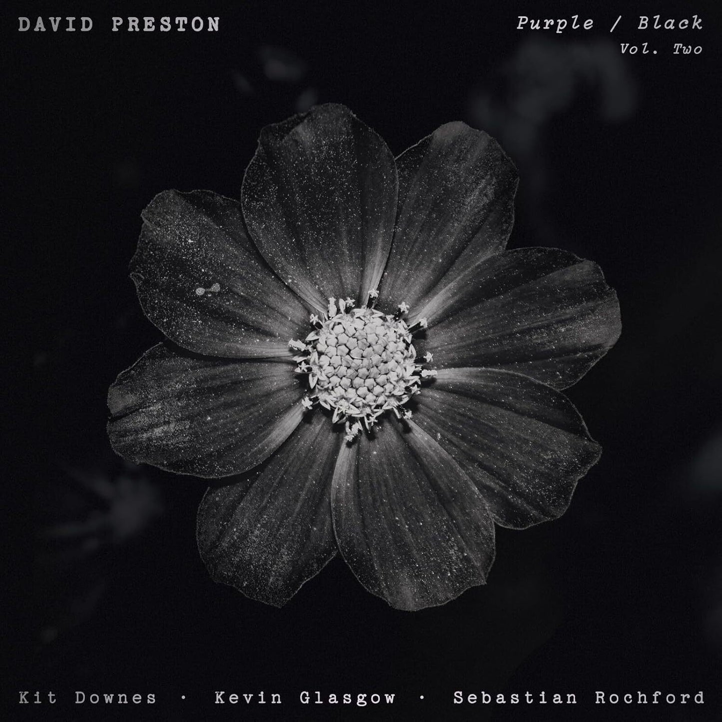 Volume 2 - Purple/black